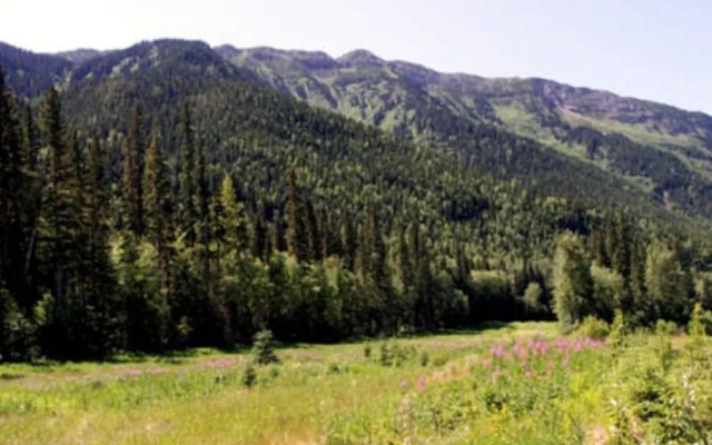 Best Western Dawson Creek Inn