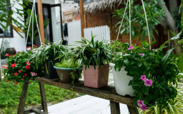 SeaWeed Homestay Hoi An
