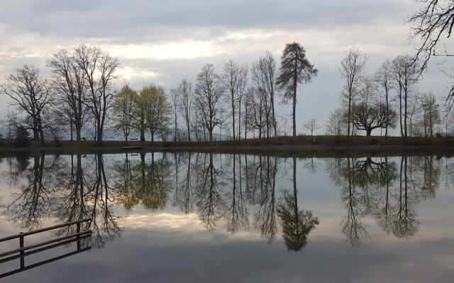 Casa Schilling- 2,5 Rooms With Balcony Near Hospital, University