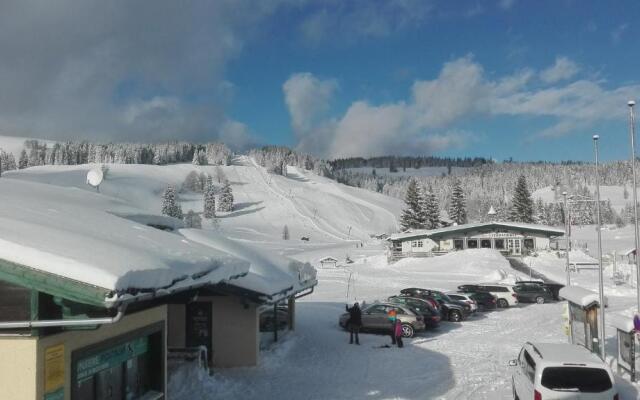 Postalm Appartement Labenberg