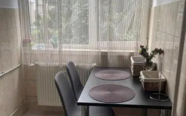 Alecsandra S Apartment Ultracentral