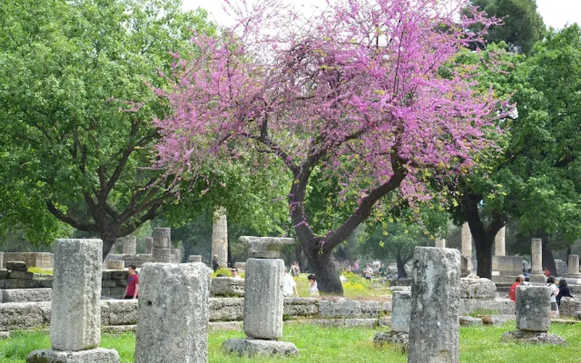 Yiannis' Maizonette Ancient Olympia