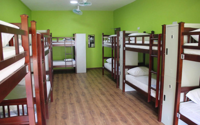 Fat Rhino Hostel