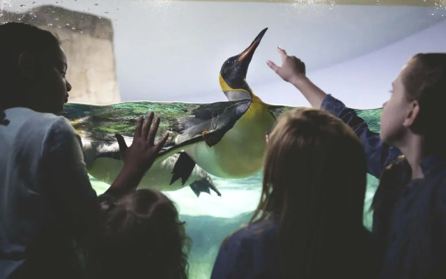 Kansas City Marriott Country Club Plaza