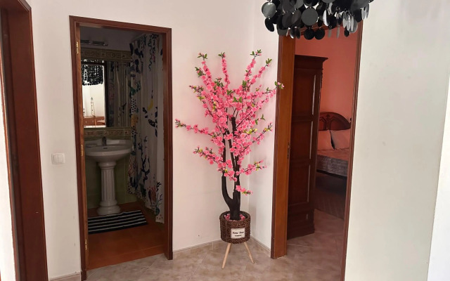 Dream House Near the Beach