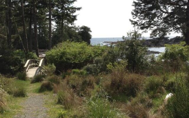 Wild Shores Guest House