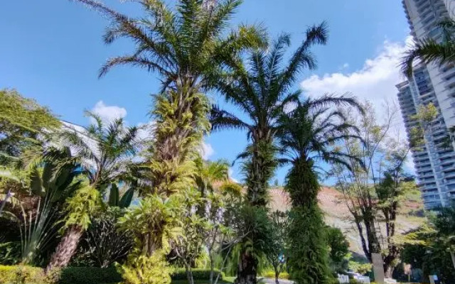 Jinghong Yixi Yunge Homestay