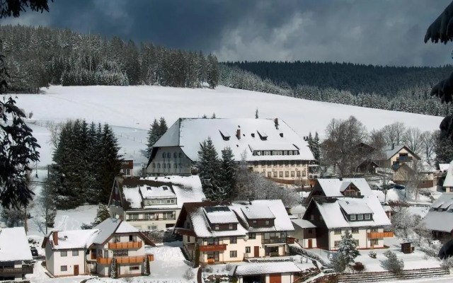 Hotel Schwarzwaldgasthof Zur Traube