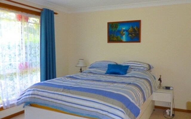 14 Lomandra