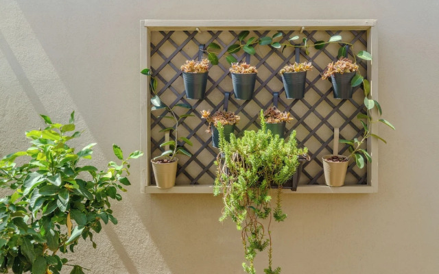 Viridiano Rooms & Apartments