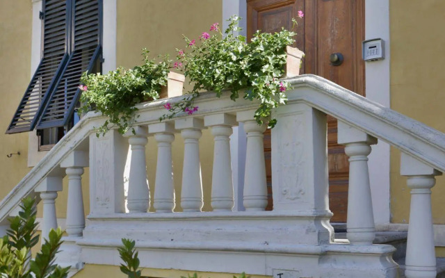 Lucca in Villa San Donato