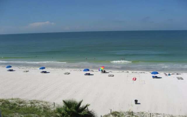 Beach Palms 409