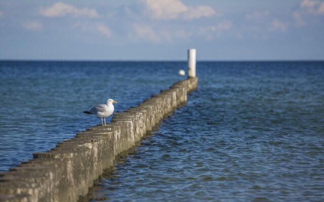 Eg-wohnung Haus Marina