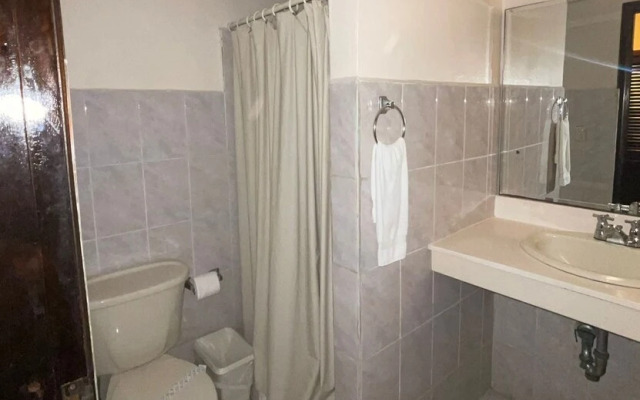 Hotel Palace Ejecutivo