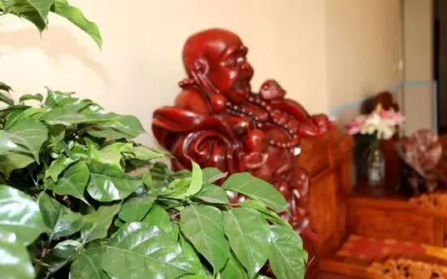 Wuhan Xiyue Business Hotel (Wuhan Tianhe International Airport)