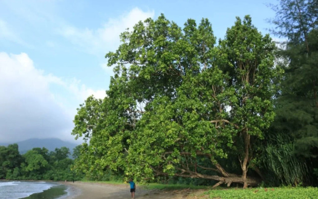 Pristine Beach Resorts