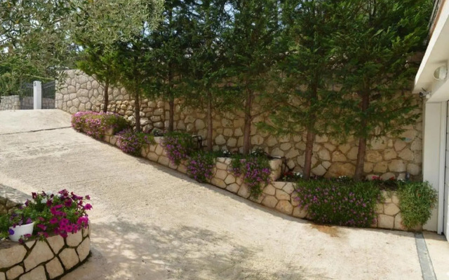 Apartments Star 3 - with sea view