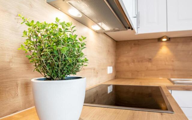 Haus Berolina Wohnung 804