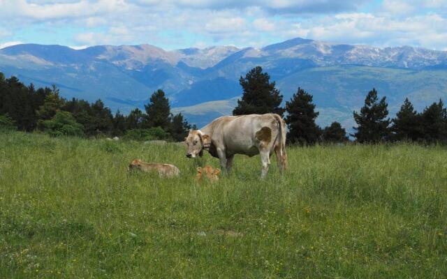 Apartament a la Molina Grans Vistes Llar de Foc