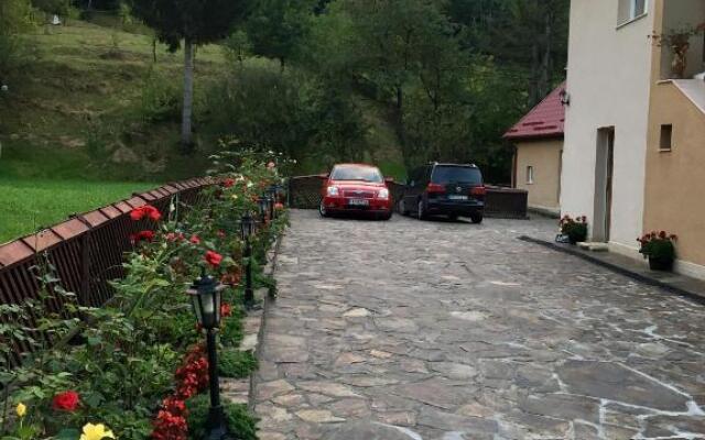 Complex Căsuțe Pensiune Ileana s House