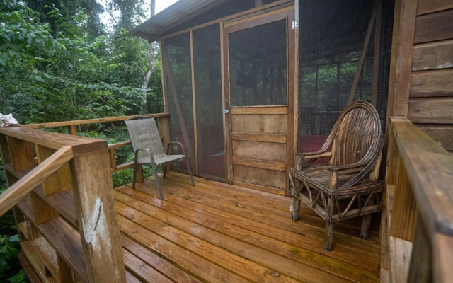 T.R.E.E.S Research Center and Eco Lodge