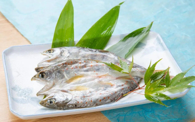 Shirabiso Kogen Amanogawa