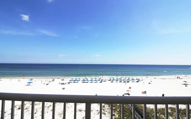 Royal Palms 501 by RedAwning