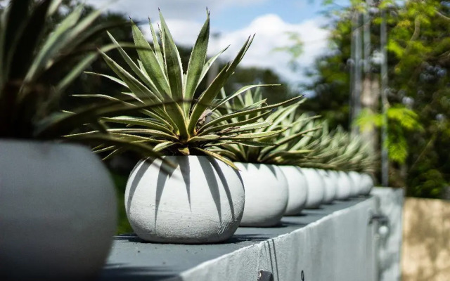 Zelune Luxury Lagoon Resort Bacalar