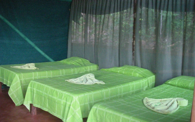 Isla Violin Eco Lodge