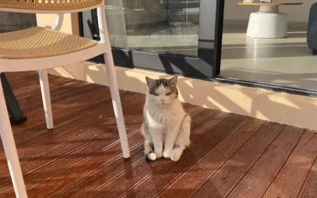 Dali Ziliang Seaview Hotel