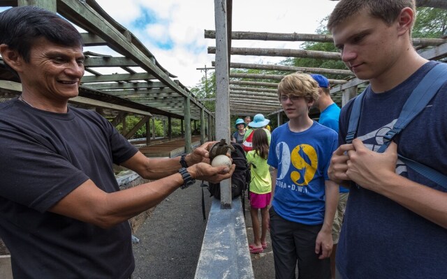 Iguana Crossing Boutique Hotel