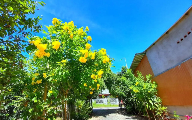 Cattien Backpackers Hostel