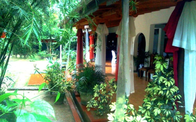 Sinharaja Green View
