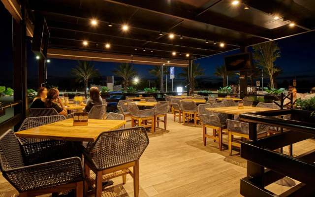 ibis Torreon