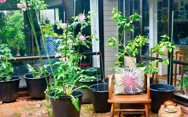 Art BnB Devonport