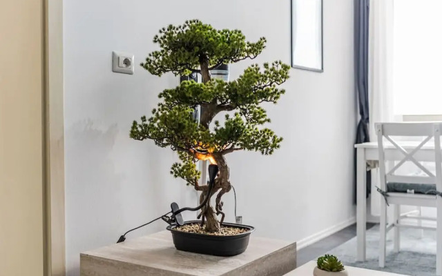 Modern Apartment With Scenic Views Earthy Vibes