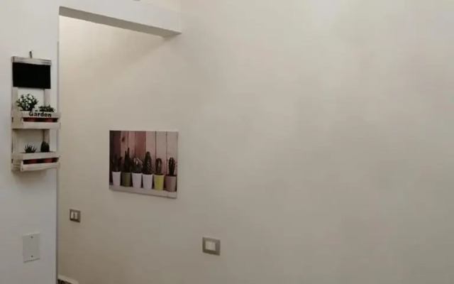 Sopra i tetti di Ballarò