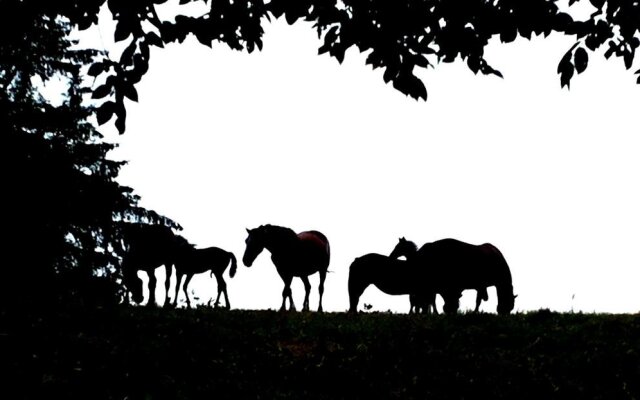 Miramont Trekking Hof