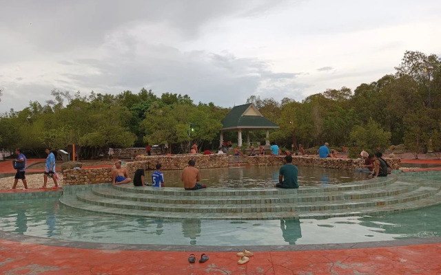 Brown Andaman  Krabi