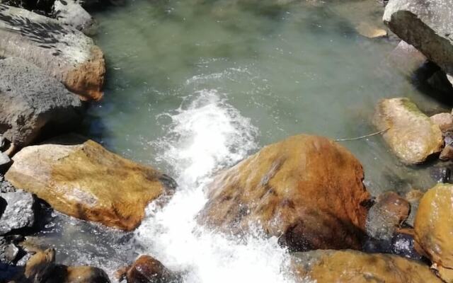 Finca Ecolodges El Ocelote