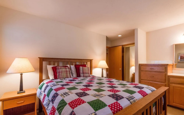 White Elm 30