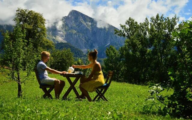 Sleeping with the bees Kozjak