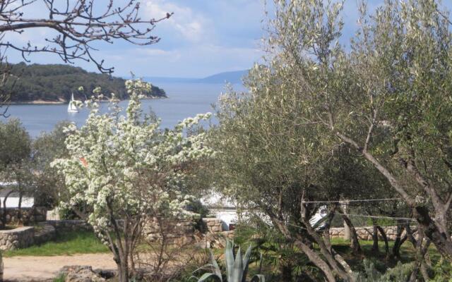 Apartments Palma & Pino