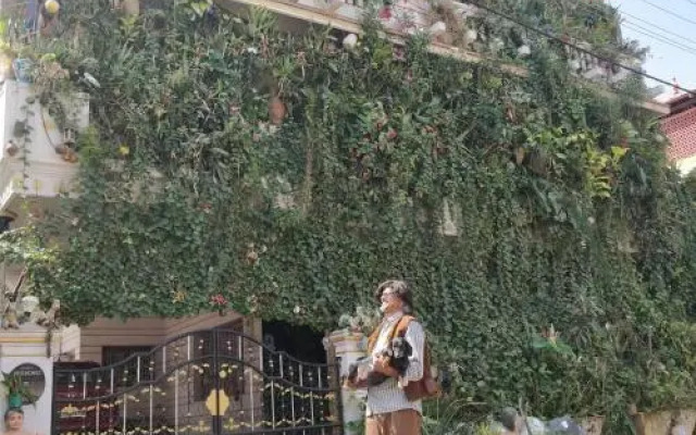 Vertical Garden Hostel