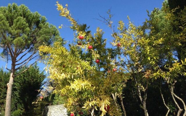 Les Flachères - Villa Patio