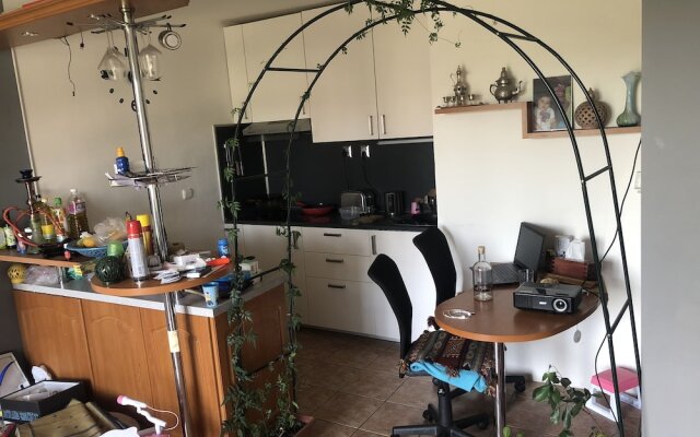 Shared Flat