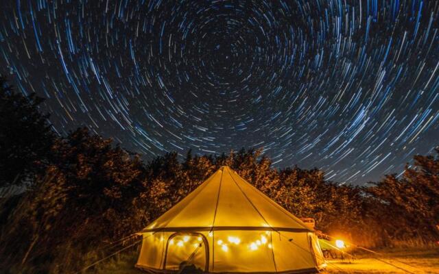 Daisy Bell Tent at Belan Bluebell Woods