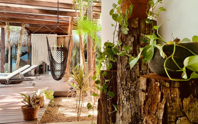 Orchid House Tulum Jungle