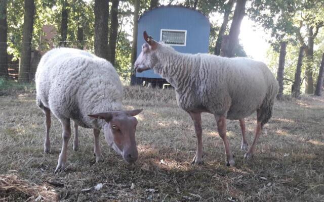 Ferienwohnung 1 Bauernhof von Eden