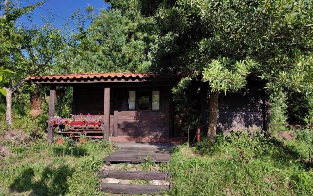 O Cantinho de Coura - a cabana